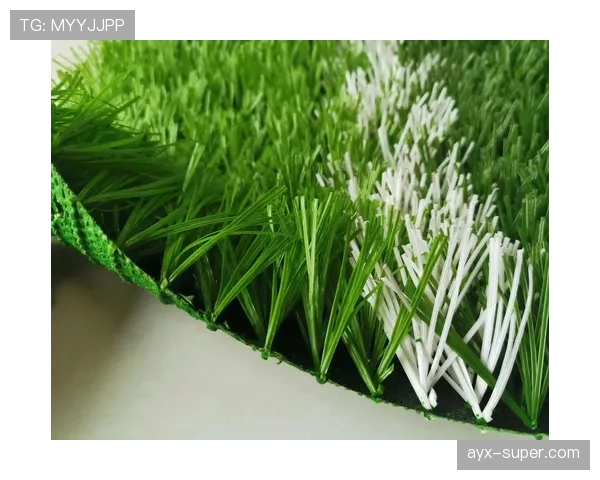 草坪场地规则拆解：尺寸、质量及判罚标准详解